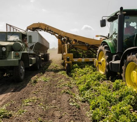a-tractor-and-truck-collaborate-in-harvesting